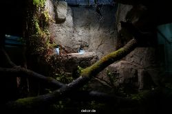 zoo-bochum-zoo-2015-03-11-039