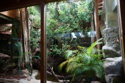 zoo-bochum-zoo-2015-03-11-041