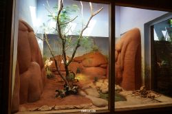 zoo-bochum-zoo-2015-03-11-042