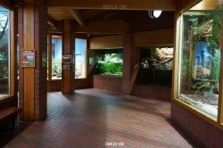 zoo-bochum-zoo-2015-03-11-045