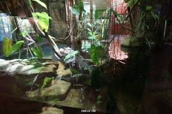 zoo-bochum-zoo-2015-03-11-056