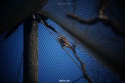zoo-bochum-zoo-2015-03-11-057