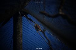 zoo-bochum-zoo-2015-03-11-058