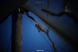 zoo-bochum-zoo-2015-03-11-059