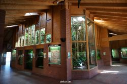 zoo-bochum-zoo-2015-03-11-060