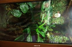 zoo-bochum-zoo-2015-03-11-061