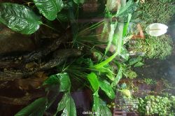 zoo-bochum-zoo-2015-03-11-062
