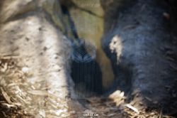 zoo-bochum-zoo-2015-03-11-069