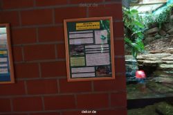 zoo-bochum-zoo-2015-03-11-072