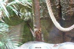 zoo-bochum-zoo-2015-03-11-073