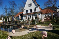 zoo-bochum-zoo-2015-03-11-084