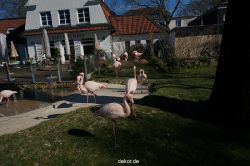 zoo-bochum-zoo-2015-03-11-085