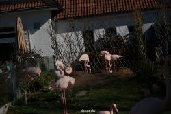 zoo-bochum-zoo-2015-03-11-087