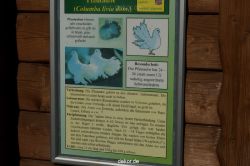 zoo-bochum-zoo-2015-03-11-089
