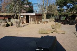 zoo-bochum-zoo-2015-03-11-090