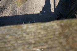 zoo-bochum-zoo-2015-03-11-093