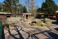 zoo-bochum-zoo-2015-03-11-098