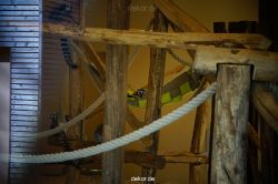 zoo-bochum-zoo-2015-03-11-099