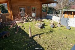 zoo-bochum-zoo-2015-03-11-114