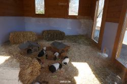 zoo-bochum-zoo-2015-03-11-116
