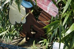 zoo-bochum-zoo-2015-03-11-122