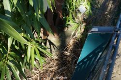 zoo-bochum-zoo-2015-03-11-124