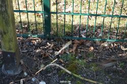 zoo-bochum-zoo-2015-03-11-125