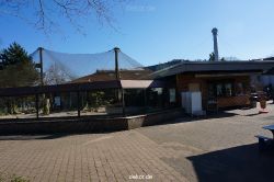 zoo-bochum-zoo-2015-03-11-127