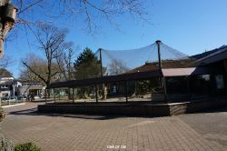 zoo-bochum-zoo-2015-03-11-128