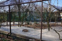 zoo-bochum-zoo-2015-03-11-129