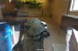 zoo-bochum-zoo-2015-03-11-130