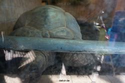 zoo-bochum-zoo-2015-03-11-131