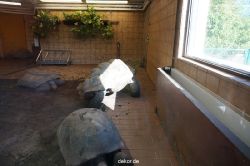 zoo-bochum-zoo-2015-03-11-134