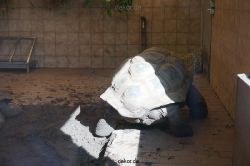 zoo-bochum-zoo-2015-03-11-135