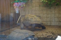 zoo-bochum-zoo-2015-03-11-136