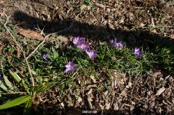 zoo-bochum-zoo-2015-03-11-141