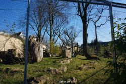 zoo-bochum-zoo-2015-03-11-146
