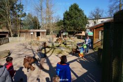 zoo-bochum-zoo-2015-03-11-148
