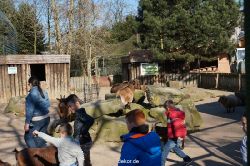 zoo-bochum-zoo-2015-03-11-149