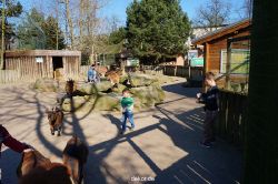 zoo-bochum-zoo-2015-03-11-151