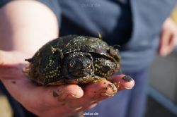 zoo-bochum-zoo-2015-03-11-153