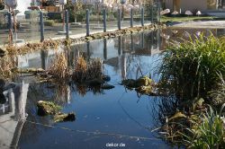 zoo-bochum-zoo-2015-03-11-154