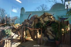 zoo-bochum-zoo-2015-03-11-156