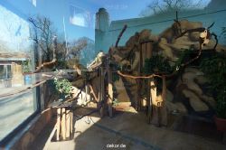 zoo-bochum-zoo-2015-03-11-157