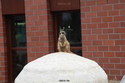 zoo-bochum-zoo-2015-03-28-001