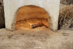 zoo-bochum-zoo-2015-03-28-006