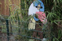 zoo-bochum-zoo-2015-03-28-019