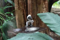 zoo-bochum-zoo-2015-03-28-024