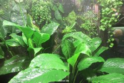 zoo-bochum-zoo-2015-03-28-029