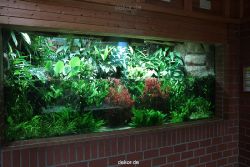 zoo-bochum-zoo-2015-03-28-030